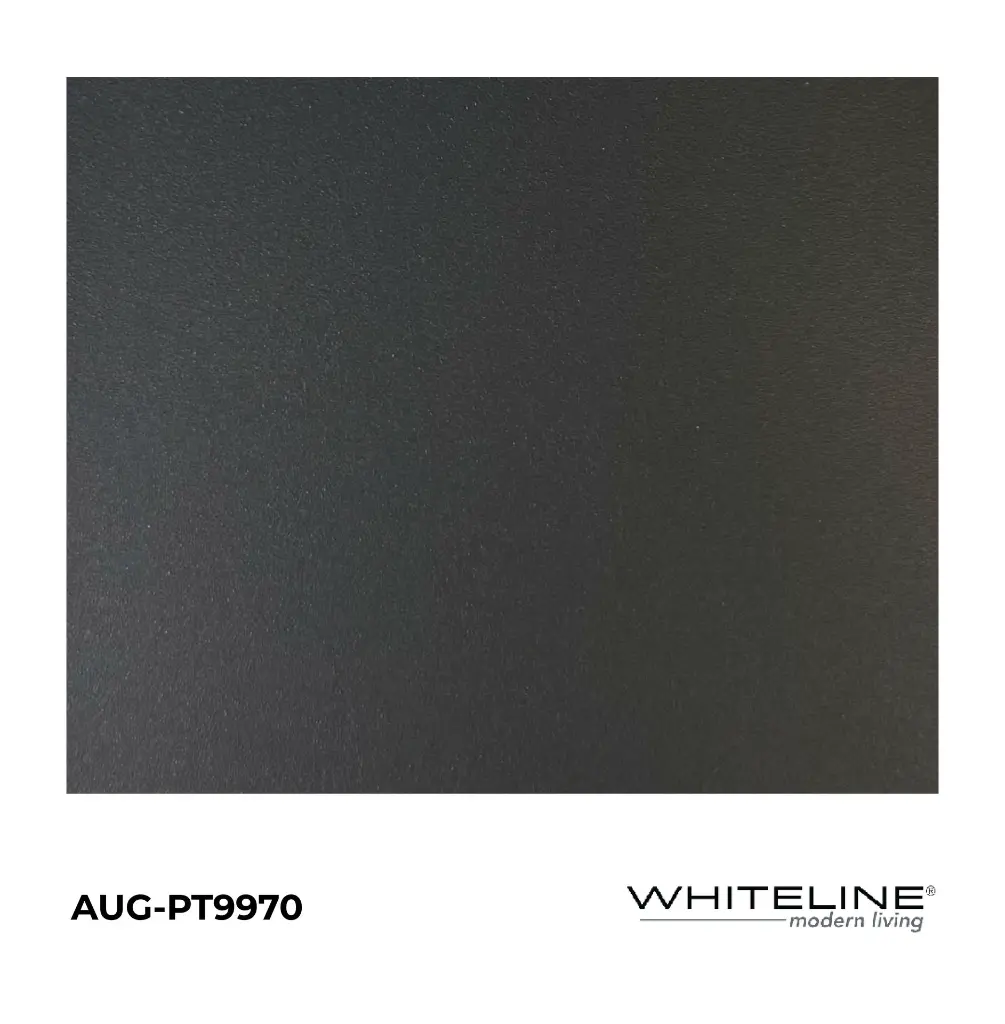 AUG-PT9970.webp