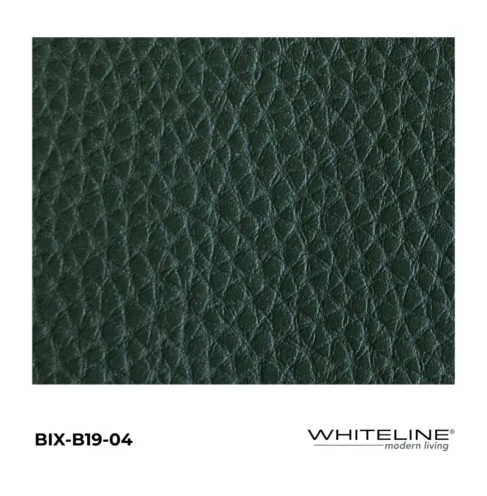 BIX-B19-04.webp