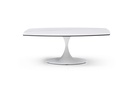 CT1719-WHT 1