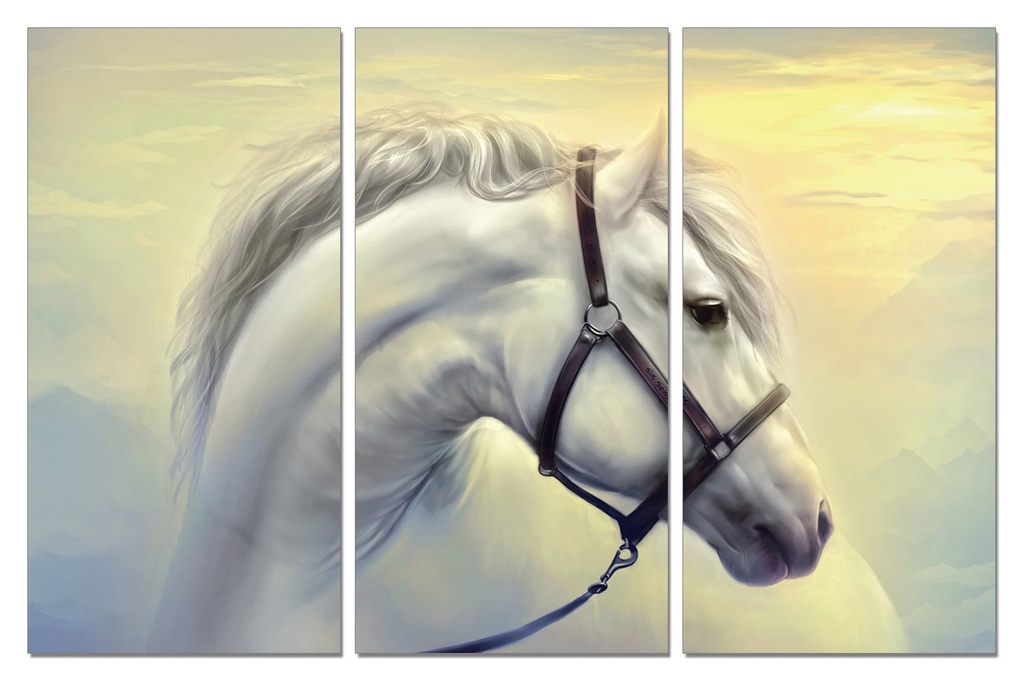 Stallion Wall Art