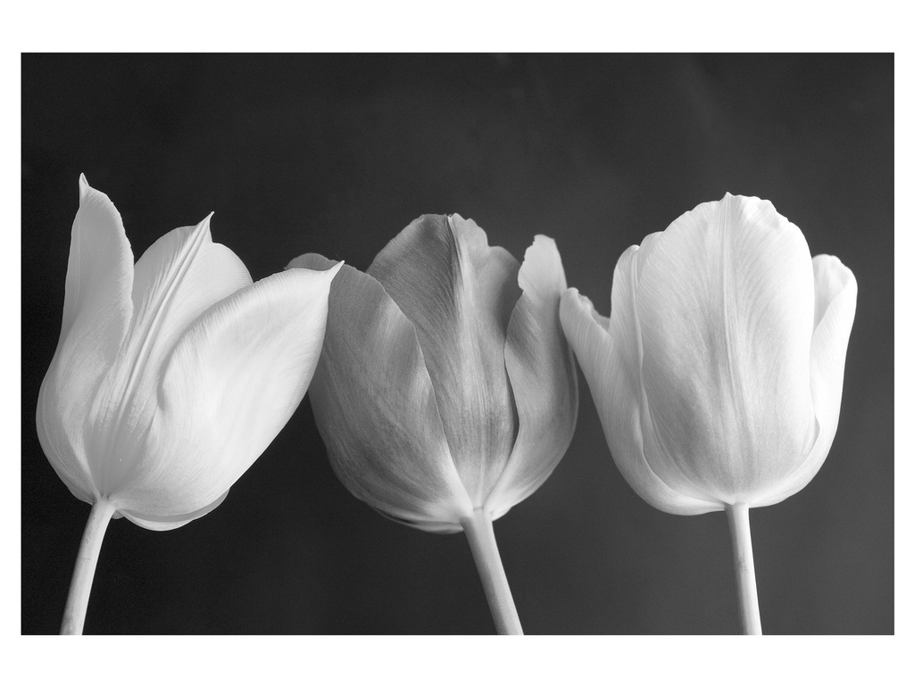 Spring Acrylic Wall Art