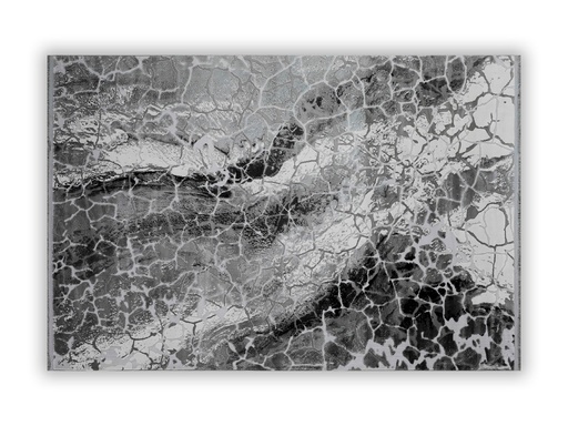 [RU1918F] Mirabella Rug