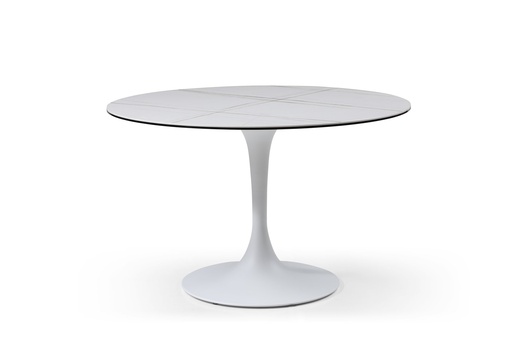 [CT1719-WHT] Amarosa Coffee Table